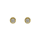 Pave Halo Clear CZ Stone Solitaire Studs in Gold